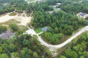 12151 Sora Ave, Weeki Wachee, FL 34614 - Photo 43
