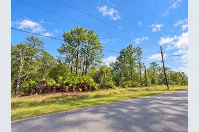 13052 Jaywalk Road, Weeki Wachee, FL 34614 - Photo 3