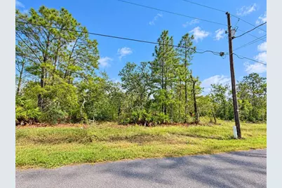 13052 Jaywalk Road, Weeki Wachee, FL 34614 - Photo 5
