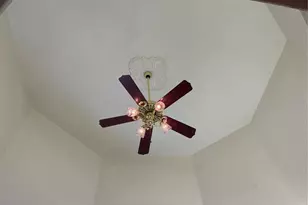 5422 Cyril Dr, Dade City, FL 33523 - Photo 61