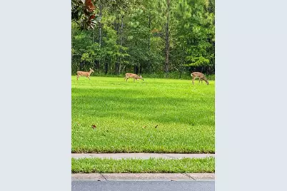 21129 Diamonte Drive, Land O Lakes, FL 34637 - Photo 31