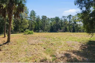 14356 Highgrove Road, Spring Hill, FL 34609 - Photo 29