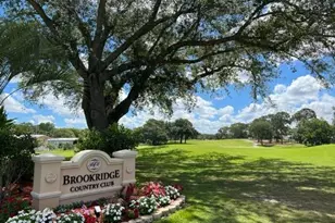 8408 Fleetway Ave, Brooksville, FL 34613 - Photo 55