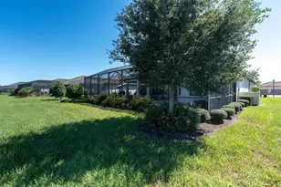 11149 Egeria Dr, Odessa, FL 33556 - Photo 41