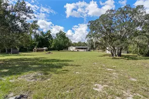 18446 Edgewood Dr, Spring Hill, FL 34610 - Photo 65