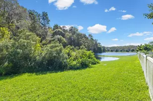 11695 Crestridge Loop, New Port Richey, FL 34655 - Photo 55