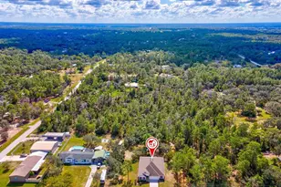 6337 Nodoc Rd, Spring Hill, FL 34609 - Photo 55