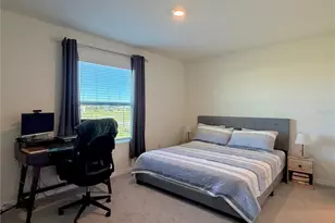 33075 Frosted Clover Wy, Wesley Chapel, FL 33545 - Photo 13
