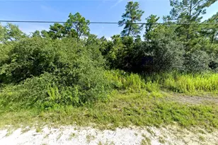 7301 Bahama Swallow Ave, Weeki Wachee, FL 34613 - Photo 1