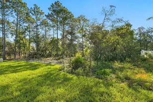 11250 Humber Rd, Weeki Wachee, FL 34614 - Photo 39