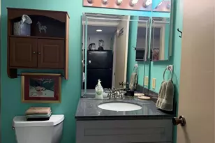 20893 Haulover Cove, Lutz, FL 33558 - Photo 23