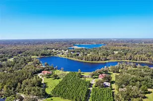 18410 Sterling Silver Cir, Lutz, FL 33549 - Photo 59