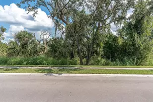 9921 Plum River Dr, Parrish, FL 34219 - Photo 55