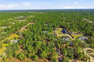 13193 Barnevelde Rd, Weeki Wachee, FL 34614 - Photo 51