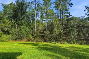 13193 Barnevelde Rd, Weeki Wachee, FL 34614 - Photo 45