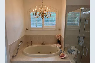 2311 Oasis Drive, Land O Lakes, FL 34639 - Photo 35