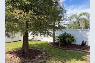 2311 Oasis Drive, Land O Lakes, FL 34639 - Photo 63