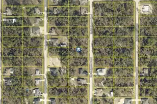 Lot 18 English Sparrow Rd, Weeki Wachee, FL 34614 - Photo 1