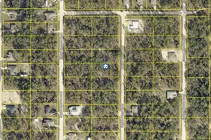 Lot 17 English Parrot Rd, Weeki Wachee, FL 34614 - Photo 1