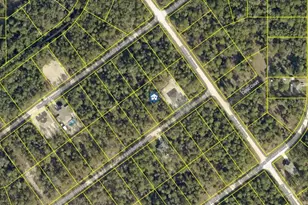 Lot 15 Resort Ave, Weeki Wachee, FL 34614 - Photo 1