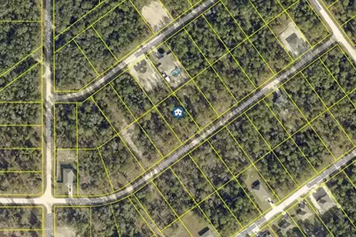 Lot 20 Resort Avenue, Weeki Wachee, FL 34614 - Photo 1
