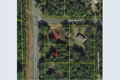 5119 5152 N Carl G Rose Highway, Hernando, FL 34442 - Photo 3