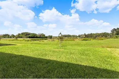 11226 Sycamore Glen Loop, Thonotosassa, FL 33592 - Photo 29