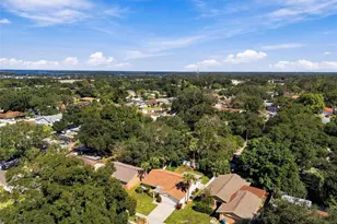 2383 Grove Valley Ave, Palm Harbor, FL 34683 - Photo 55