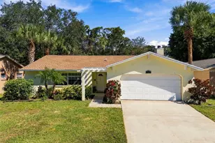 2383 Grove Valley Ave, Palm Harbor, FL 34683 - Photo 51