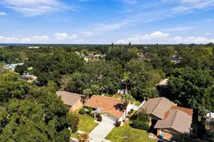 2383 Grove Valley Ave, Palm Harbor, FL 34683 - Photo 53
