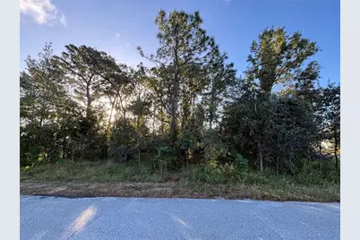 Lot 1 Mayflower Road, Spring Hill, FL 34608 - Photo 7