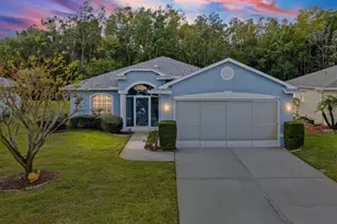 11814 Ivywood Pl, New Port Richey, FL 34654 - Photo 1
