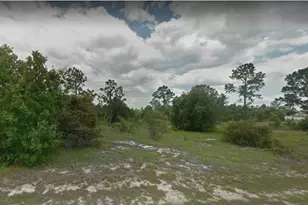 1319 Congo Dr, Poinciana, FL 34759 - Photo 1