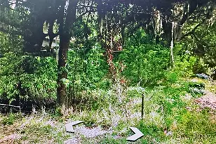 409 W Towles Ave, Palatka, FL 32177 - Photo 1