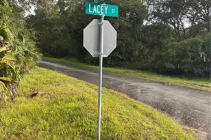 Nutmeg Ave, North Port, FL 34286 - Photo 1