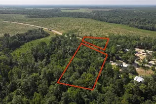 Potter Rd, Quincy, FL 32351 - Photo 1