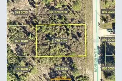 1046 Mansion Avenue S, Lehigh Acres, FL 33974 - Photo 1