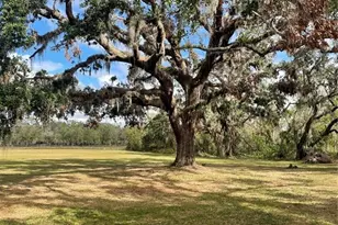12355 Doris Rd, Parrish, FL 34219 - Photo 1