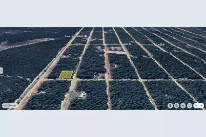 Salem Avenue, Interlachen, FL 32148 - Photo 1