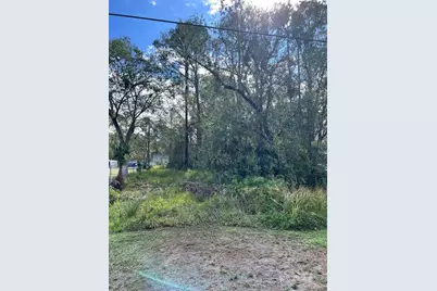 18418 S 301 Highway, Wimauma, FL 33598 - Photo 1