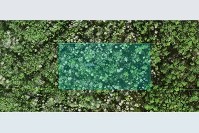 25-26-10-000000-012060 Commonwealth Avenue N, Polk City, FL 33868 - Photo 1