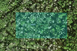 25-26-10-000000-012060 Commonwealth Ave N, Polk City, FL 33868 - Photo 1