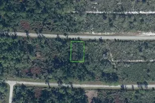 7345 Happyface St, Sebring, FL 33872 - Photo 1
