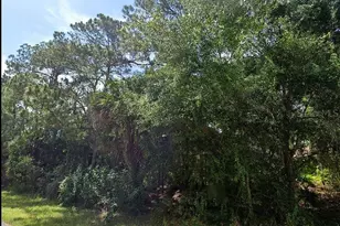 Gallopo Rd, North Port, FL 34291 - Photo 1