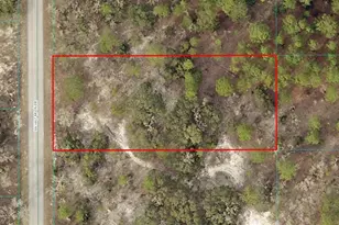 1811-009-022 SW Half Moon Dr, Dunnellon, FL 34431 - Photo 1