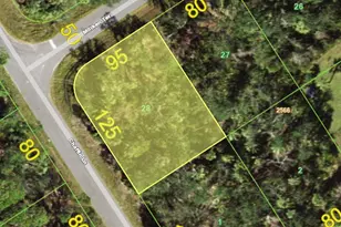 1468 Chaffin Ln, Port Charlotte, FL 33953 - Photo 1