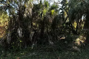 Russellville St, North Port, FL 34288 - Photo 1