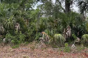 14066 Stanfield Ave, Port Charlotte, FL 33953 - Photo 1