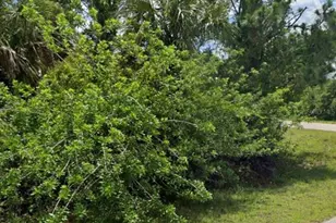 1822 Lindsay St, Lehigh Acres, FL 33972 - Photo 1