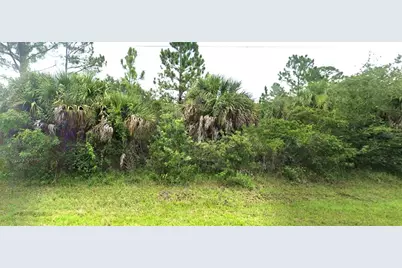 13352 Johannes Avenue, Port Charlotte, FL 33953 - Photo 1